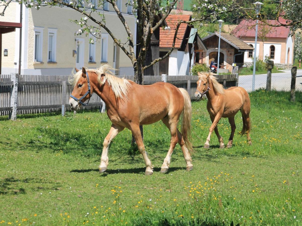 Vila Gschwendnerhof Reitberger-Brandl Röhrnbach Exteriér fotografie