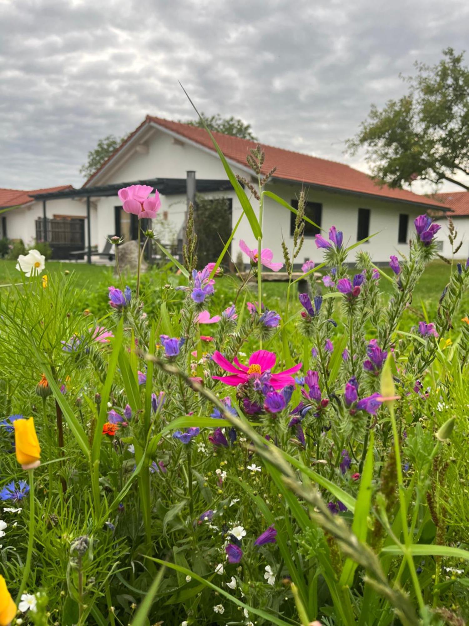 Vila Gschwendnerhof Reitberger-Brandl Röhrnbach Exteriér fotografie